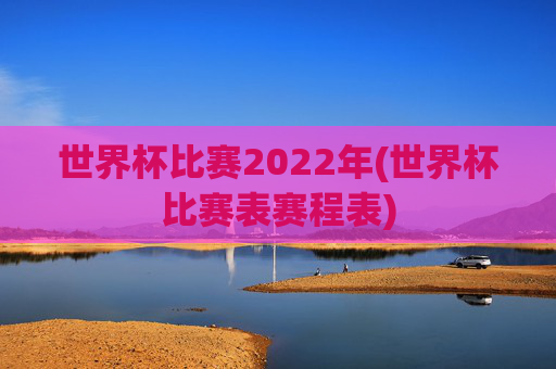 世界杯比赛2022年(世界杯比赛表赛程表)