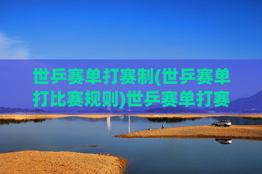 世乒赛单打赛制(世乒赛单打比赛规则)世乒赛单打赛制规则