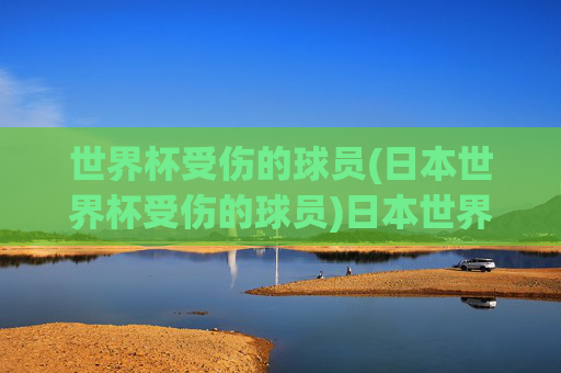 世界杯受伤的球员(日本世界杯受伤的球员)日本世界杯受伤球员