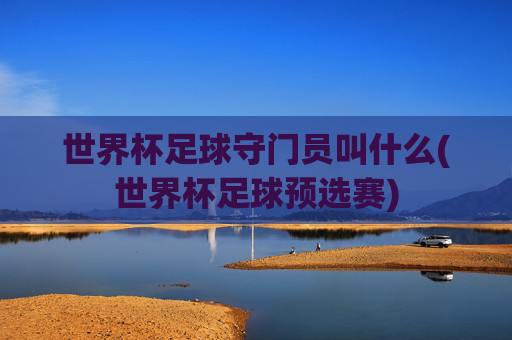 世界杯足球守门员叫什么(世界杯足球预选赛)