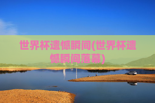 世界杯遗憾瞬间(世界杯遗憾瞬间落幕)