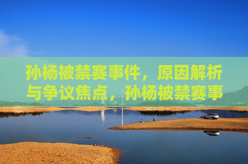 孙杨被禁赛事件，原因解析与争议焦点，孙杨被禁赛事件，原因解析与争议焦点