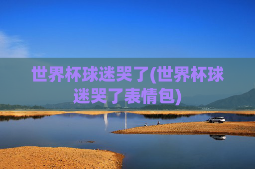 世界杯球迷哭了(世界杯球迷哭了表情包)