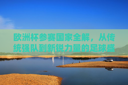 欧洲杯参赛国家全解,从传统强队到新锐力量的足球盛宴