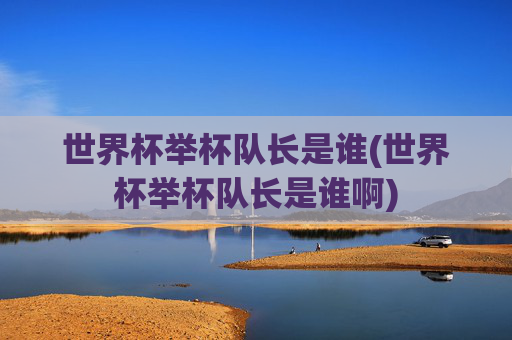 世界杯举杯队长是谁(世界杯举杯队长是谁啊)