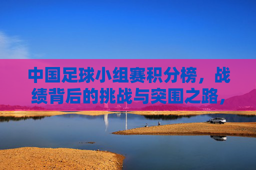 中国足球小组赛积分榜,战绩背后的挑战与突围之路,中国足球小组赛,战绩背后的挑战与突围