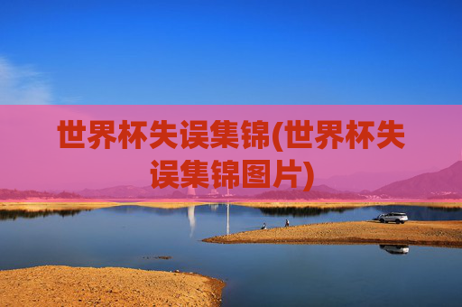 世界杯失误集锦(世界杯失误集锦图片)