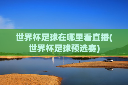 世界杯足球在哪里看直播(世界杯足球预选赛)