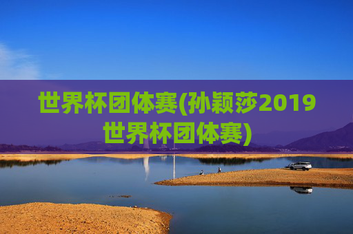 世界杯团体赛(孙颖莎2019世界杯团体赛)