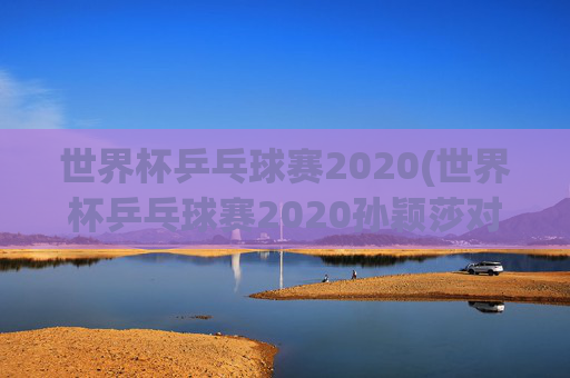 世界杯乒乓球赛2020(世界杯乒乓球赛2020孙颖莎对伊藤)