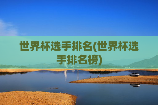 世界杯选手排名(世界杯选手排名榜)