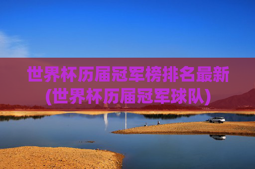 世界杯历届冠军榜排名最新(世界杯历届冠军球队)