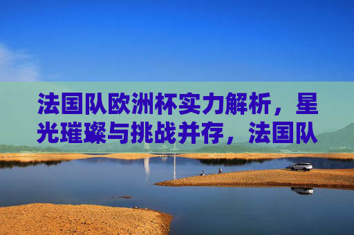 法国队欧洲杯实力解析,星光璀璨与挑战并存,法国队欧洲杯实力,星光璀璨与挑战并存