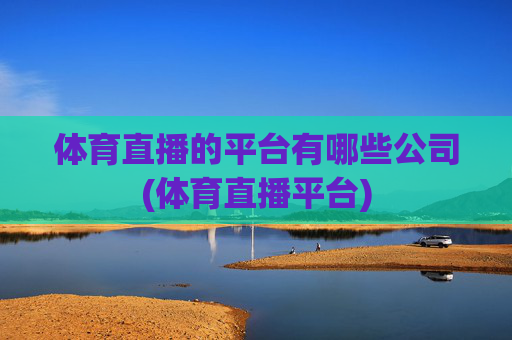 体育直播的平台有哪些公司(体育直播平台)