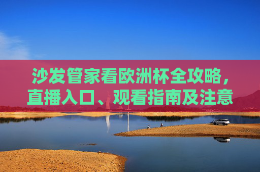 沙发管家看欧洲杯全攻略，直播入口、观看指南及注意事项，沙发管家欧洲杯全攻略，直播入口、观看指南及注意事项