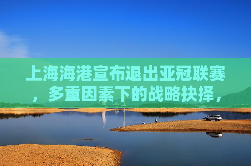 上海海港宣布退出亚冠联赛，多重因素下的战略抉择，上海海港退出亚冠联赛，多重因素下的战略抉择