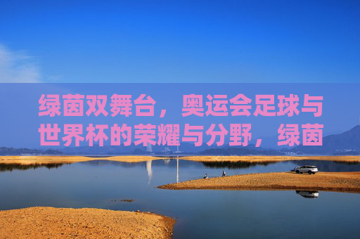 绿茵双舞台,奥运会足球与世界杯的荣耀与分野,绿茵双舞台,奥运足球与世界杯的荣耀分野