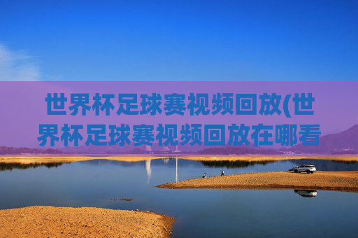 世界杯足球赛视频回放(世界杯足球赛视频回放在哪看)