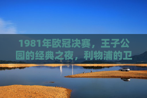 1981年欧冠决赛，王子公园的经典之夜，利物浦的卫冕传奇，1981年王子公园经典夜，利物浦欧冠卫冕传奇