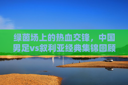 绿茵场上的热血交锋,中国男足vs叙利亚经典集锦回顾,中国男足vs叙利亚,绿茵热血交锋经典集锦