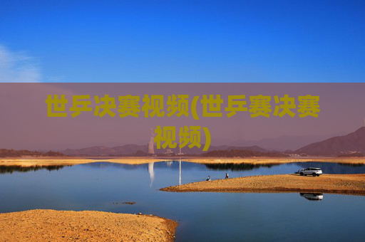 世乒决赛视频(世乒赛决赛视频)