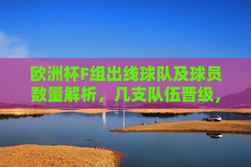 欧洲杯F组出线球队及球员数量解析,几支队伍晋级,多少球员出征?