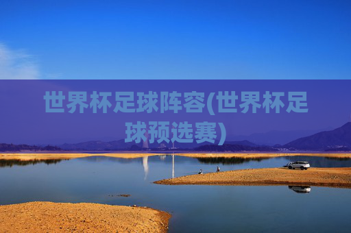 世界杯足球阵容(世界杯足球预选赛)