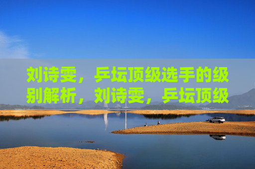 刘诗雯，乒坛顶级选手的级别解析，刘诗雯，乒坛顶级选手级别解析