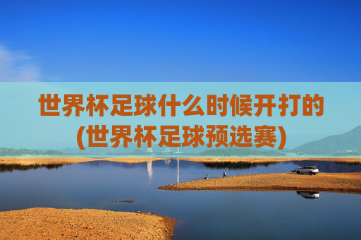 世界杯足球什么时候开打的(世界杯足球预选赛)