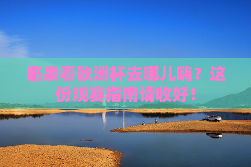 临泉看欧洲杯去哪儿嗨?这份观赛指南请收好!