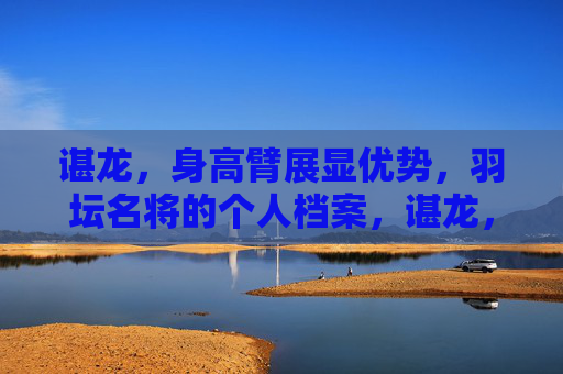 谌龙,身高臂展显优势,羽坛名将的个人档案,谌龙,身高臂展显优势的羽坛名将档案