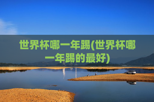 世界杯哪一年踢(世界杯哪一年踢的最好)