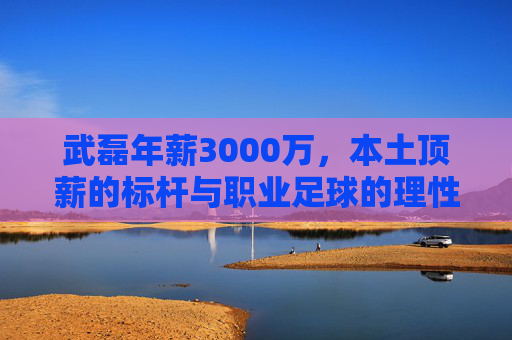 武磊年薪3000万,本土顶薪的标杆与职业足球的理性思辨,武磊3000万年薪,本土顶薪标杆与职业足球理性思辨