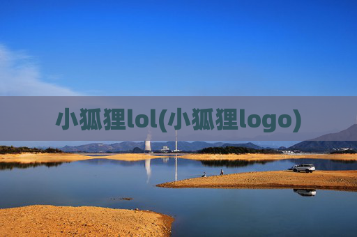 小狐狸lol(小狐狸logo)