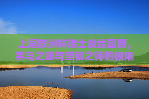 上届欧洲杯瑞士战绩回顾，黑马之路与坚韧之师的极限冲锋，上届欧洲杯黑马征程，瑞士坚韧之师的极限冲锋