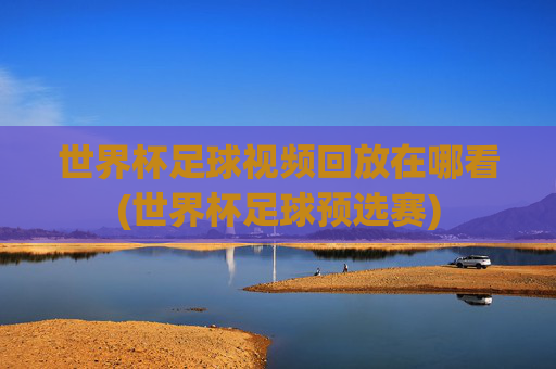 世界杯足球视频回放在哪看(世界杯足球预选赛)