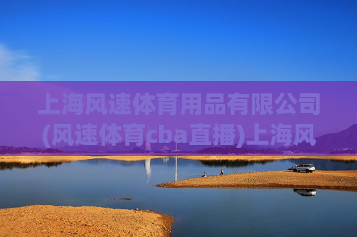 上海风速体育用品有限公司(风速体育cba直播)上海风速体育用品有限公司,风速体育CBA直播