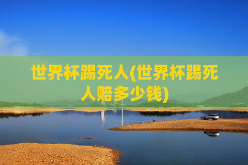 世界杯踢死人(世界杯踢死人赔多少钱)