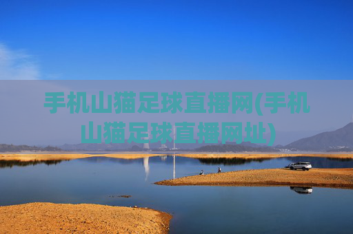 手机山猫足球直播网(手机山猫足球直播网址)