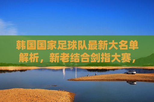 韩国国家足球队最新大名单解析，新老结合剑指大赛，孙兴慜领衔战亚洲之巅，韩国队最新大名单，孙兴慜领衔新老结合剑指亚洲之巅