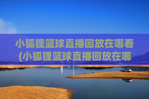 小狐狸篮球直播回放在哪看(小狐狸篮球直播回放在哪看啊)