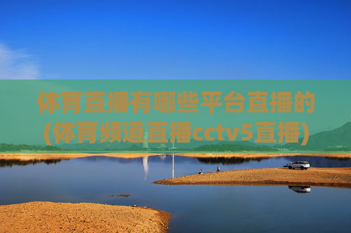 体育直播有哪些平台直播的(体育频道直播cctv5直播)