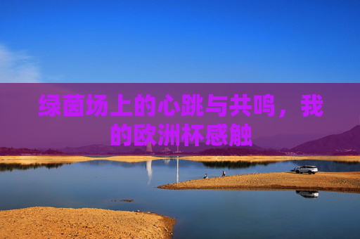绿茵场上的心跳与共鸣,我的欧洲杯感触
