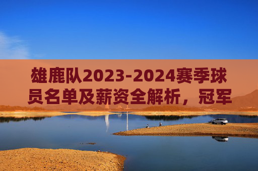 雄鹿队2023-2024赛季球员名单及薪资全解析,冠军拼图与薪资结构的平衡之道,雄鹿2023-2024赛季球员名单薪资全解析,冠军拼图与薪资结构平衡之道