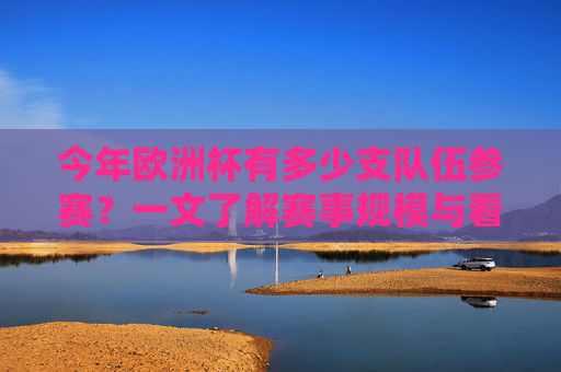 今年欧洲杯有多少支队伍参赛？一文了解赛事规模与看点，今年欧洲杯参赛队伍规模及赛事看点一览