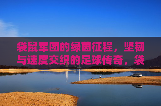 袋鼠军团的绿茵征程,坚韧与速度交织的足球传奇,袋鼠军团,坚韧与速度交织的绿茵传奇