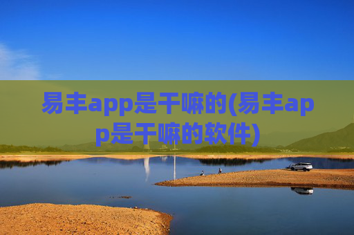 易丰app是干嘛的(易丰app是干嘛的软件)