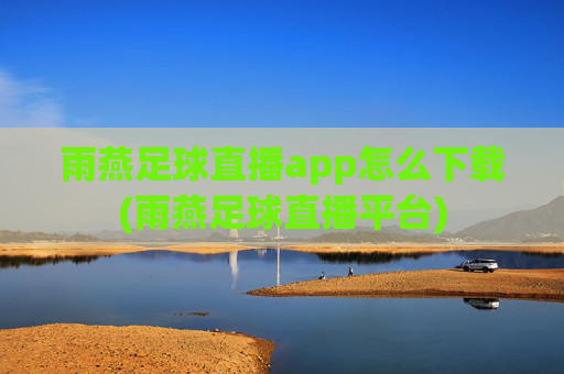 雨燕足球直播app怎么下载(雨燕足球直播平台)