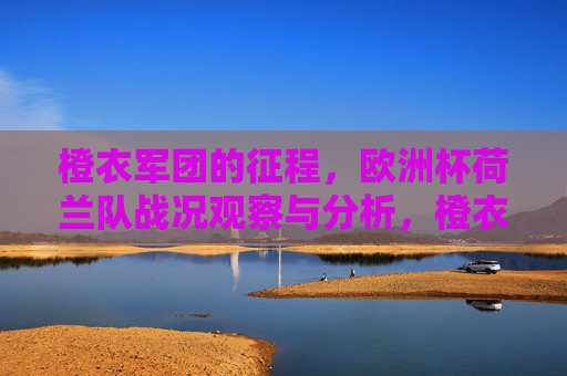 橙衣军团的征程，欧洲杯荷兰队战况观察与分析，橙衣军团欧洲杯征程观察与分析