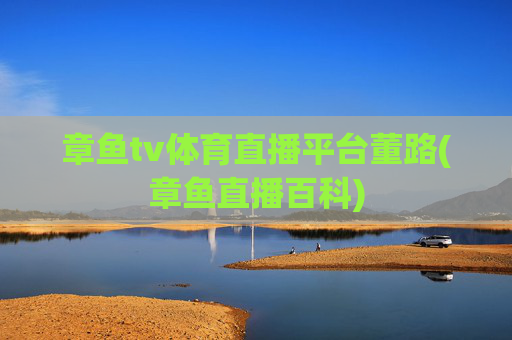 章鱼tv体育直播平台董路(章鱼直播百科)